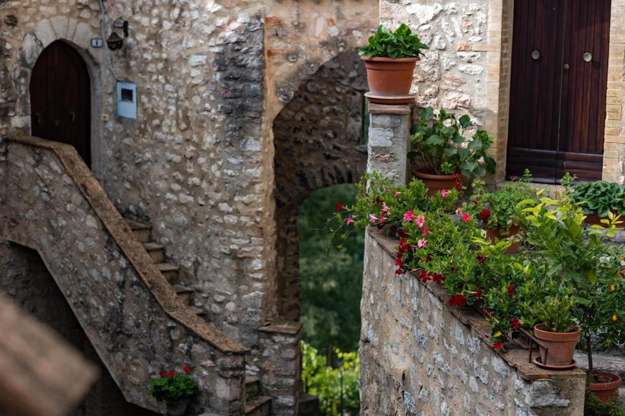Il Tripode - Le Dimore Del Bordone Vallo di Nera Dış mekan fotoğraf